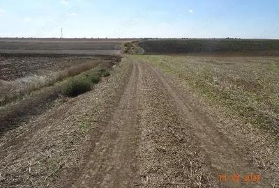 Teren extravilna Cota parte 1/16, CObadin, ID: R2782865 - 3