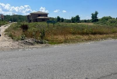 TEREN DUMBRAVEI Loturi a cate 635mp+ cota drum! - 5