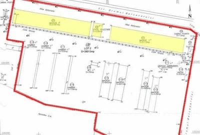 Teren Construcții intravilan de 39000 mp, în Giurgiului