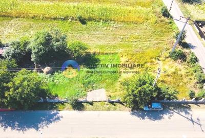 TEREN intravilan  comuna SAVINESTI - 6