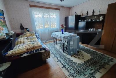 Casă cu 1 camere cu Teren 3000 Mp în Aluniș - 7
