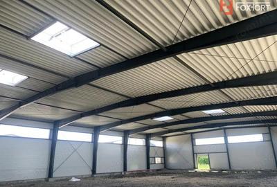 Hala de inchiriat cu platforma betonata de 1334 mp, zona Sanandrei - 6