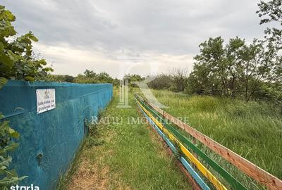 Casă cu 5 camere cu Teren 2497 Mp în Cefa - 15