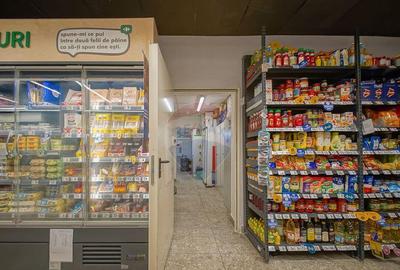 Spațiu comercial, de 248 mp, în Scriitorilor - 9