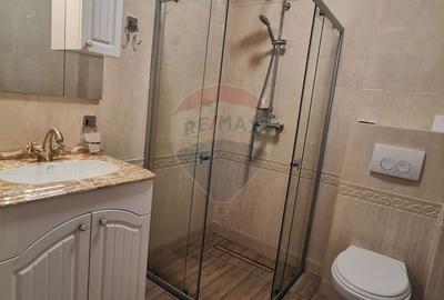 Spațiu comercial, de 750 mp, în Făget - 2