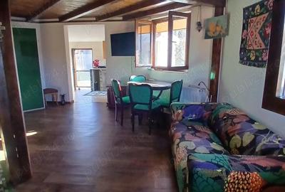 Casă cu Teren 2000 Mp în Ștefan cel Mare - 6