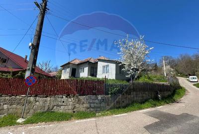 Casă cu 4 camere cu Teren 700 Mp în Chiojdu - 2