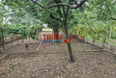 Casa 3 camere, 976 mp, garaj, zona Barabant - 15