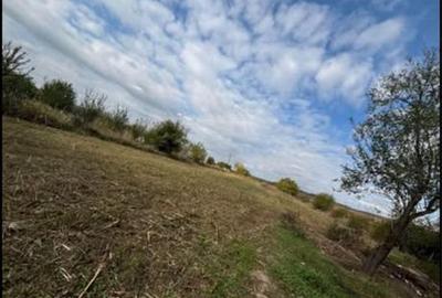 Casă cu 2 camere în Tatomirești - 5