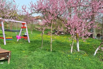 Casă cu 2 camere în Ațintiș - 7
