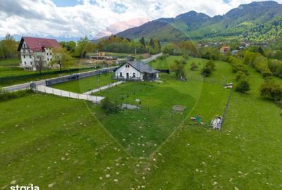 Teren de 1100 mp, în Tohănița - 8