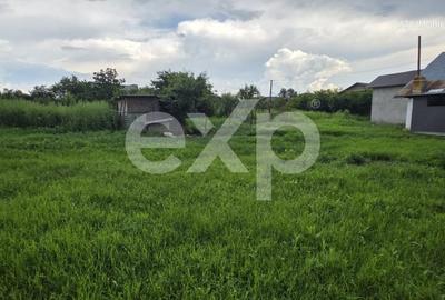 Casă individuală cu 2 camere cu Teren 1000 Mp în Gura Ocniței - 9