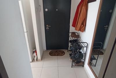 Apartament cu 2 camere semidecomandat, mobilat în Podu Roș - 8