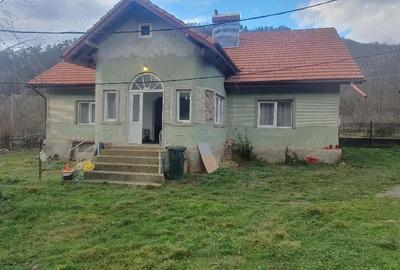 Casă cu Teren 3000 Mp în Dăbâca - 4