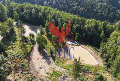 18000 mp de natura pura ,Lupeni, langa Straja 18000 mp de natura pura ,Lupeni, langa Straja - 3