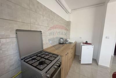 COMISION 0% -Apartament 1 camera Cojocna, 50 m de Baile Sarate - 4