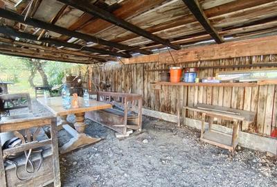 Casa cu 2 camere, 250 mp, zona sud-est - 31