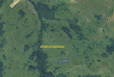 Teren de 3700 mp, în Dalboșeț - 3