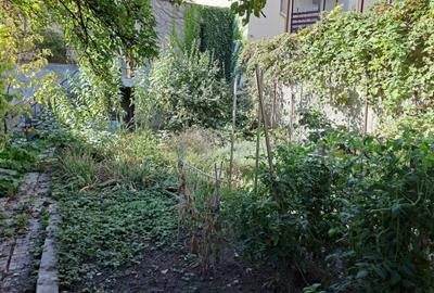 Cotroceni-Parcul Romniceanu, singur curte, garaj, curte generoasa - 6