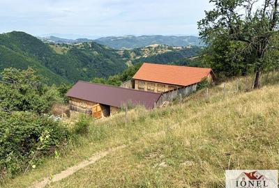 Casa de vanzare in comuna Sasciori cu 84.843 mp teren - 1