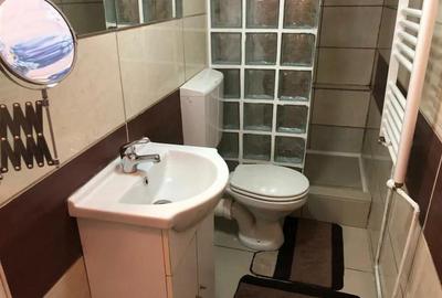 Apartament 2 camere pe 2 nivele - zona Centrul Istoric - 3