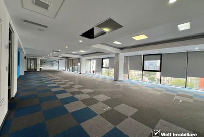 Birouri moderne zona FSEGA - Iulius Mall - 1