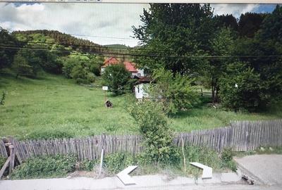 Teren de 2900 mp, în Buhalnița - 1