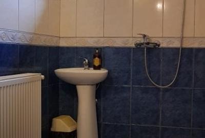 Casă individuală cu 5 camere cu Teren 390 Mp în Mihai Bravu - 11