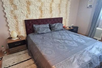 Casă cu 3 camere cu Teren 1326 Mp în Șagu - 2