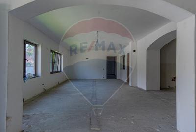Casa saseasca cu gradina de VANZARE/ Bogata Olteana/ Hoghiz - 5