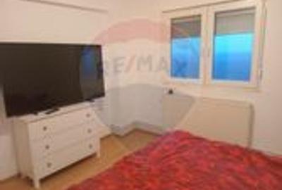 Apartament  4 camere de inchiriat MALUL MURESULUI - 19