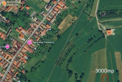 Teren extravilan cu priveliste minunata 3000mp in Rasinari - 3