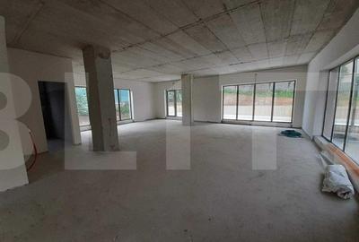 Spatiu comercial, 166 mp, vitrina la strada, imobil nou, zona Europa - 3