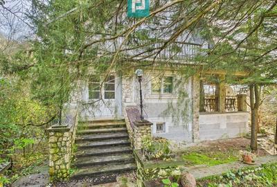 Casă P+E+M cu teren 8163 mp – Roșia Nouă (Petriș) - 2