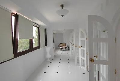 Vila Lux 8 Camere Herastrau I Cartierul Francez - 18