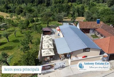 Spațiu comercial, de 195 mp, în Budureasa - 7