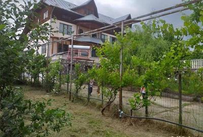 Casă cu 7 camere cu Teren 1621 Mp în Central - 6