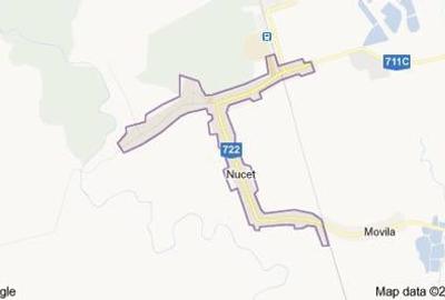 Teren de 9195 mp, în Nucet