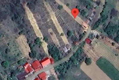 Teren Tileagd Bihor - 3