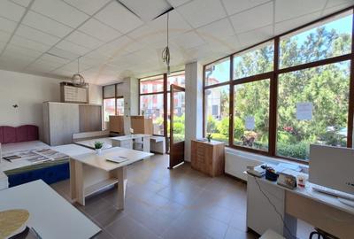 Inchiriere Spatiu Comercial stradal-Ultracentral-Topoloveni - 2