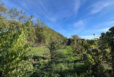 CASA DE VANZARE SAVAR?IN! - 1