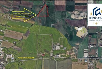 Teren Construcții intravilan de 43094 mp, în Vest - 1
