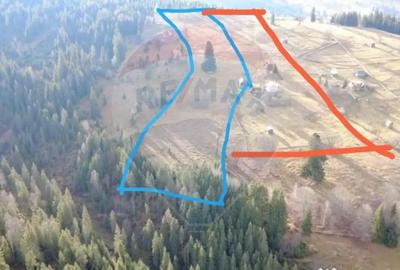Teren de 26232 mp, în Dorna-Arini - 5