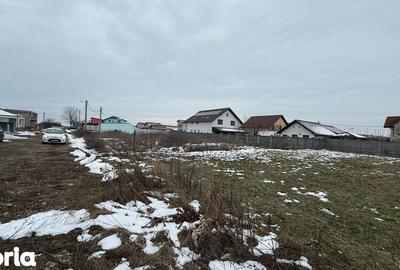 Teren de 605 mp, în Giroc - 3