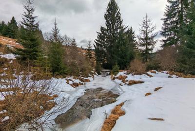 7858 mp TEREN SUPERB CU PARAU SI IZVOARE, BELIS - FANTANELE, Cluj - Transilvania - 2
