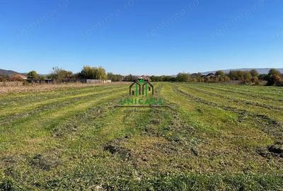 Teren de 4860 mp, în Copăcelu - 6