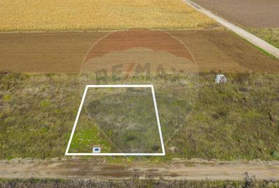 0% Comision | Teren 650 mp | Sacele, Str. Venus | Curent ... - 11