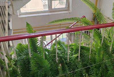 Apartament cu 2 camere decomandat în Cotroceni - 4