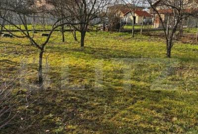 Teren cu o constructie inceputa, 1500 mp, zona Paule?ti - 2