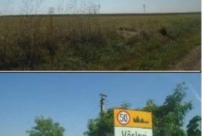 Teren de 5000 mp, în Vârlezi - 7